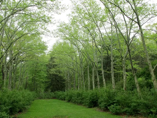 Investors using biodiversity data to shape financial choices