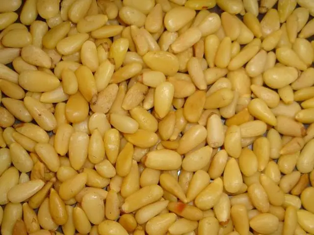 Pre-Study for Wet-Mill Corn Processing Plant Infrastructure