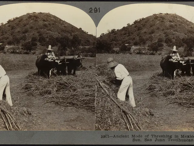 Nog Corporation Announces Quarterly Cash Dividend of $0.45, Signifying a 7% Boost Compared to the...