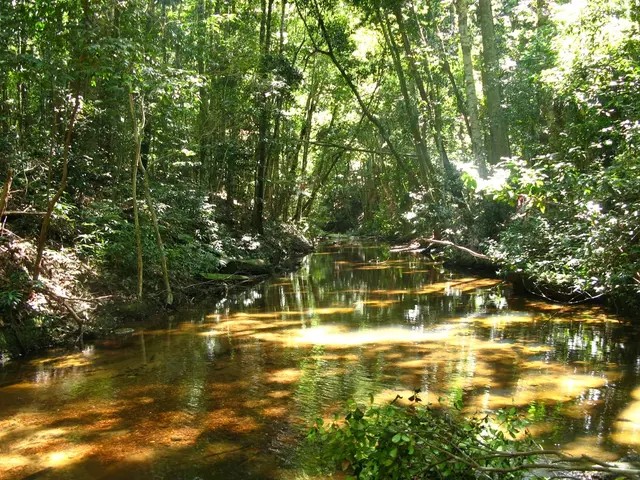 Lawsuits Filed by Panama to Terminate Port Contract of Hong Kong-Managed Canal Amid Intense...