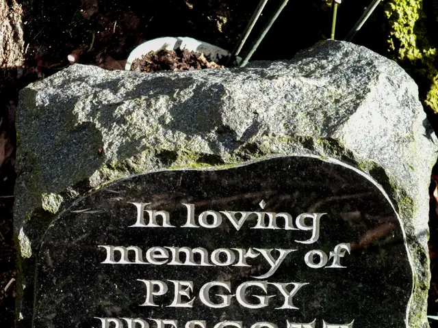 Exploring Coal Varieties: An Overview of the Four Main Coal Types and Their Applications