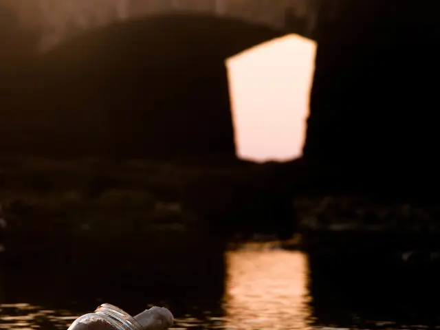 Dalio Divests Last Bridgewater Equity, Brunei Acquires 20% Interest