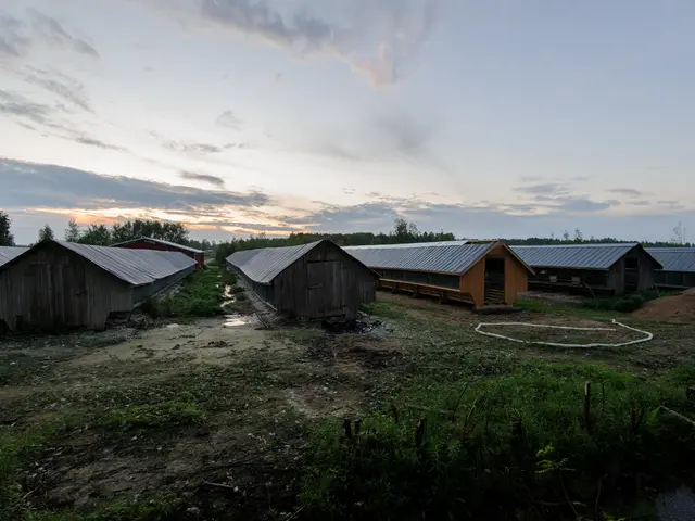 Stock prices for GoDaddy experienced a significant decline on Friday.