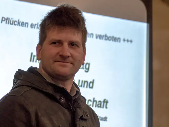 Enhancing Business Success through the Application of Story-based Analysis