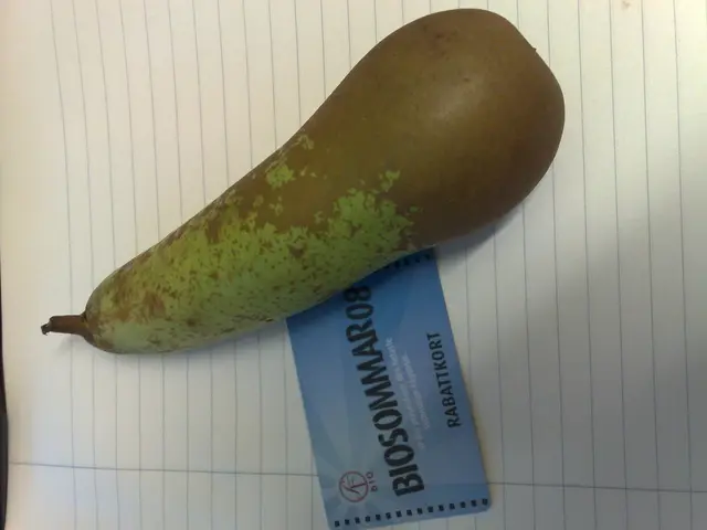 Island of Oléron takes on global corporations: Airbnb and Booking face resistance from the French...