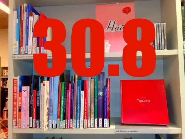 Understanding Debt-to-Equity Ratio and Its Significance to Investors: A Guide