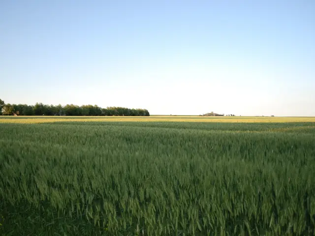 Farmers ingeniously transform their property into a burial ground to generate income in a unique...