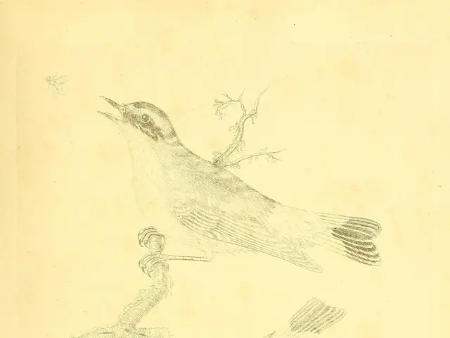 Toxic bird found in Pettendorf: Potential threat to humans and pets