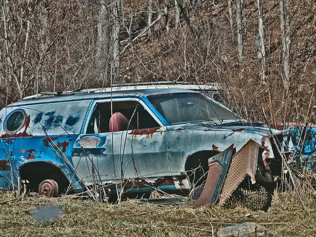 Abandoned vehicles at Koidula border can now be towed and scrapped following new legislation...
