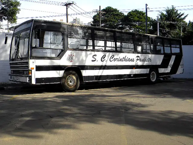 Electric Vehicle Introduction in La Manga's Public Transportation System