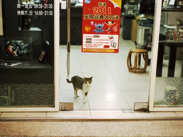 Increase in Normal Bankruptcy Filings in July 2025: A 19.2% Spike Over the Preceding Month