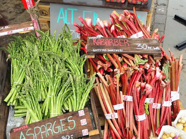 In 2025, sales of CDR credit soared to unprecedented heights, fueling significant market expansion.