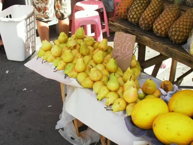 Open positions for 500 workers in Axarquia available