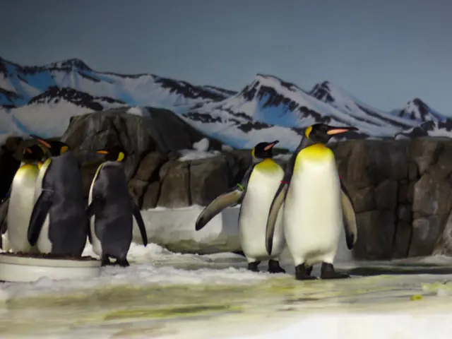 Stock Market's Nikkei Index Reaches Record Peak as Tariff Apprehensions Subside