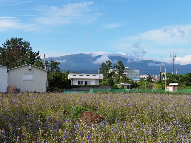 Fresh ETF hitting the market, boasting green credentials for climate-conscious investors.