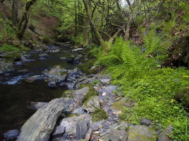 Rise in the manufacture of mineral water observed