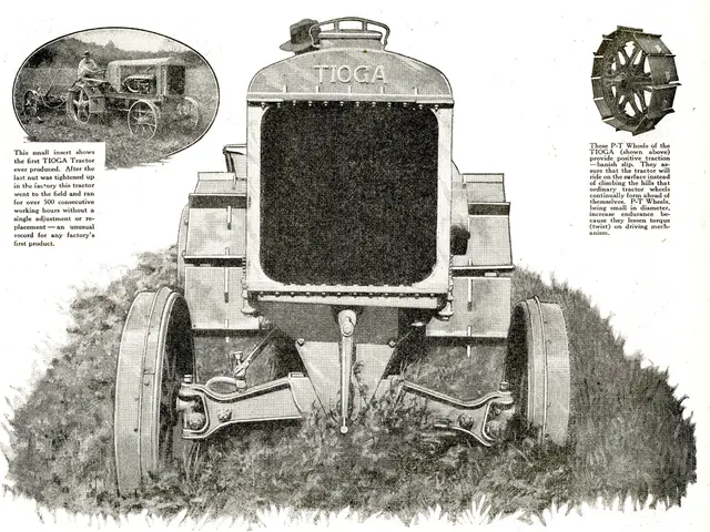 Despite faceing challenges, Tractor Supply maintains strength