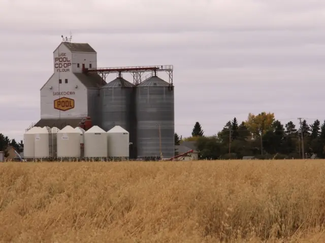 Plummeting crude oil prices and dwindling production cause a steep decline in ONGC's first-quarter...