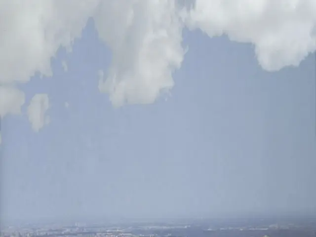 Government Institutions: Functions, Types of Entities, Advantages, and Disadvantages