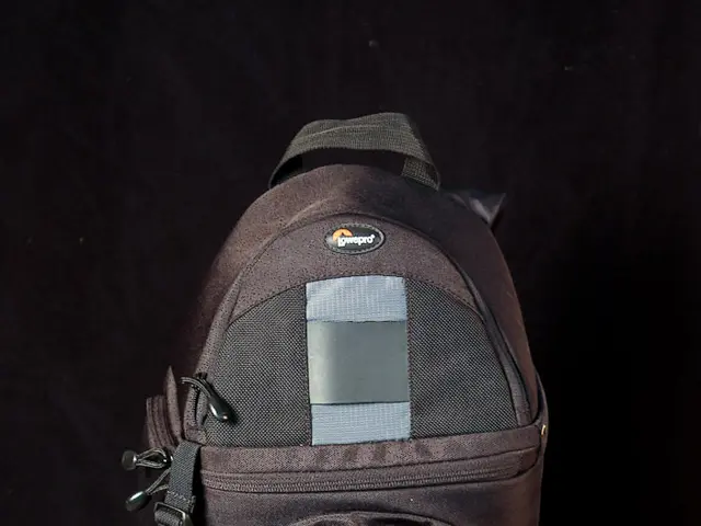 'Hermès CEO expresses displeasure over the presence of new Birkins on the second-hand market'