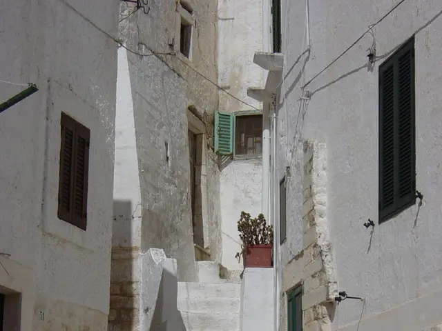 Aerodynamics from a Commercial Standpoint: Insights into Horizontal Flight Mechanics