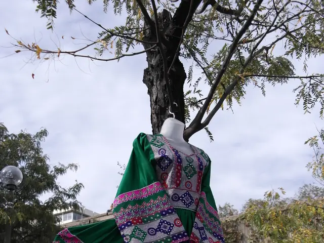 Platinum Musee Faces Imminent Bankruptcy Procedures