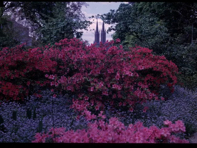 Federal Energy Regulatory Commission (FERC) endorses cost distribution ways for power plants...