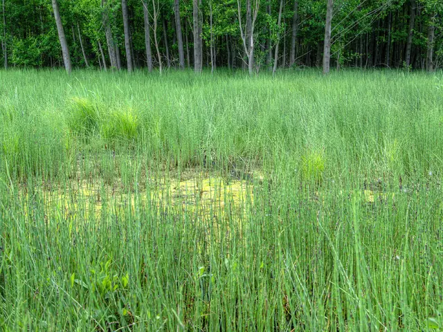 Dairy farm on Hochburg in Emmendingen initiates new construction project