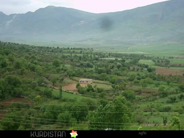 Apple widens its Carbon Removal Investment Program for inventive solutions