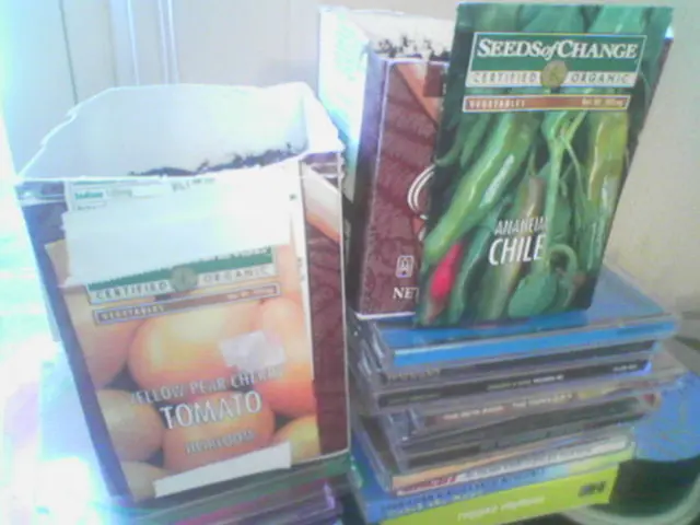 Turtlemint, an insurtech company, submits a private placement draft to the Securities and Exchange...