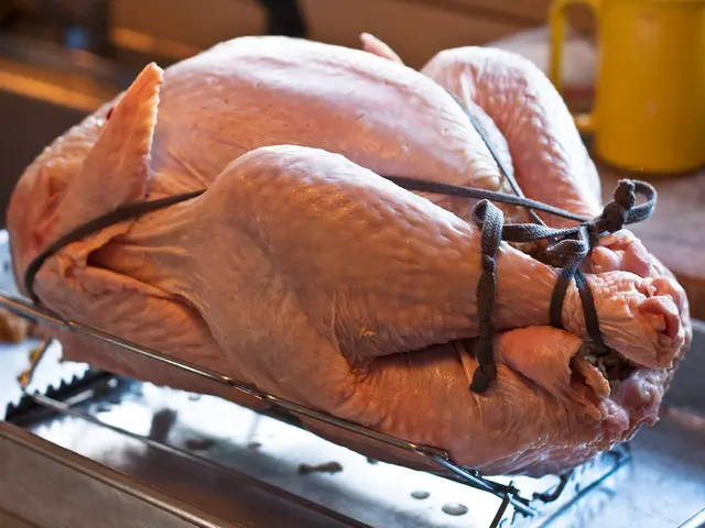 Massive poultry facility valued at over 13 billion rubles set for construction in Khabarovsk