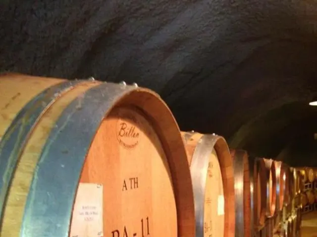 Experts' Perspectives on IP Matters during the Week