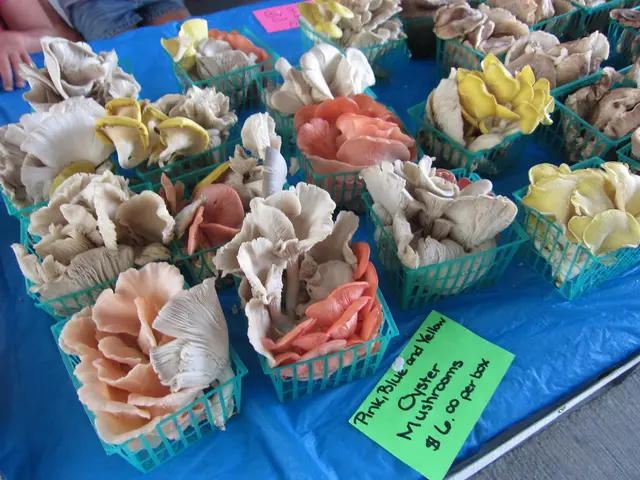 Soaring organic food prices potentially imminent due to U.S. imposed...