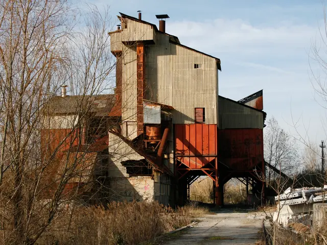 Countries earning billions in timber exports include: