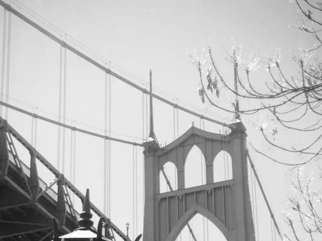 IoD Ex-Leader Disqualified from Directorship Due to Misuse of Covid Bounce Back Loan Program