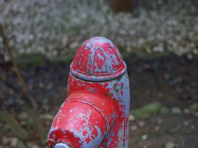 Plumber tycoon Charlie Mullins starts a fresh business undertaking in Britain