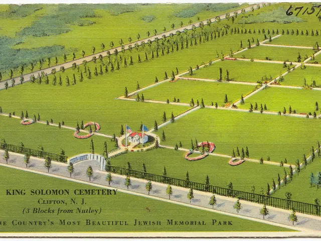 Property Tax Exploration: Insights into Property Tax C, Bounds of Levies, and Related Topics