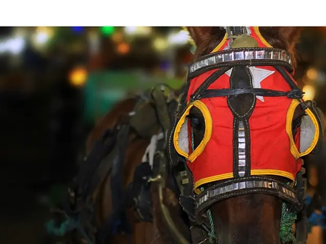 Soaring apartment prices in northern Han regions following a cool down in mortgage regulations