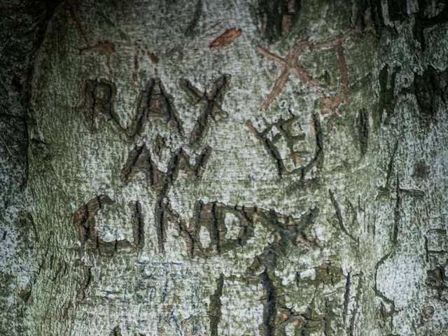 Bankruptcy Exemptions: Safeguarding Your Assets During Financial Crisis