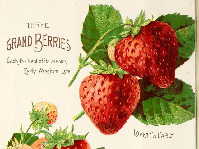 Decline in domestic manufacturing output in July, despite an increase in export figures