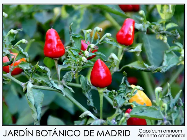 Fungicide Market Forecast: Anticipated Market Value of USD 35.0 Billion by 2034 with a Compound...