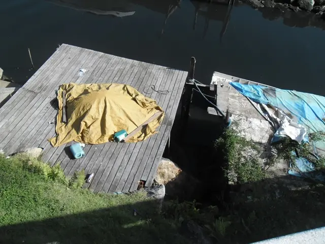 In this image we can see there is a lake beside that there is a wooden bridge and some things on...