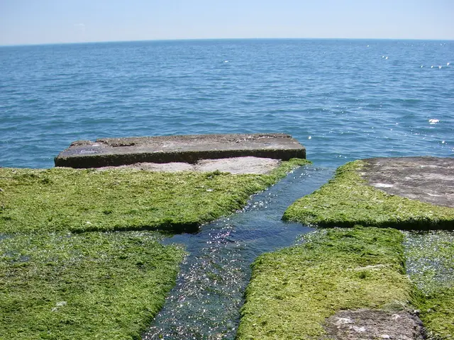 In the image there is a sea and in front of the sea there is some land covered with grass, the...