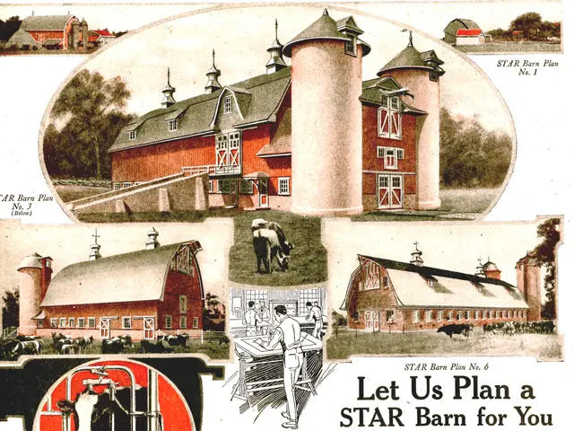 This image consists of a poster, in which there are building and cows. At the bottom, there is a...