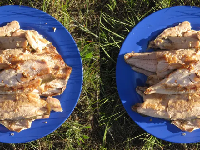 This is a collage picture of meat placed in plate.