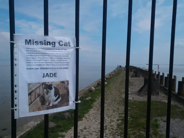 In this image I can see advertising poster on the grill, behind that there is a bridge on the...