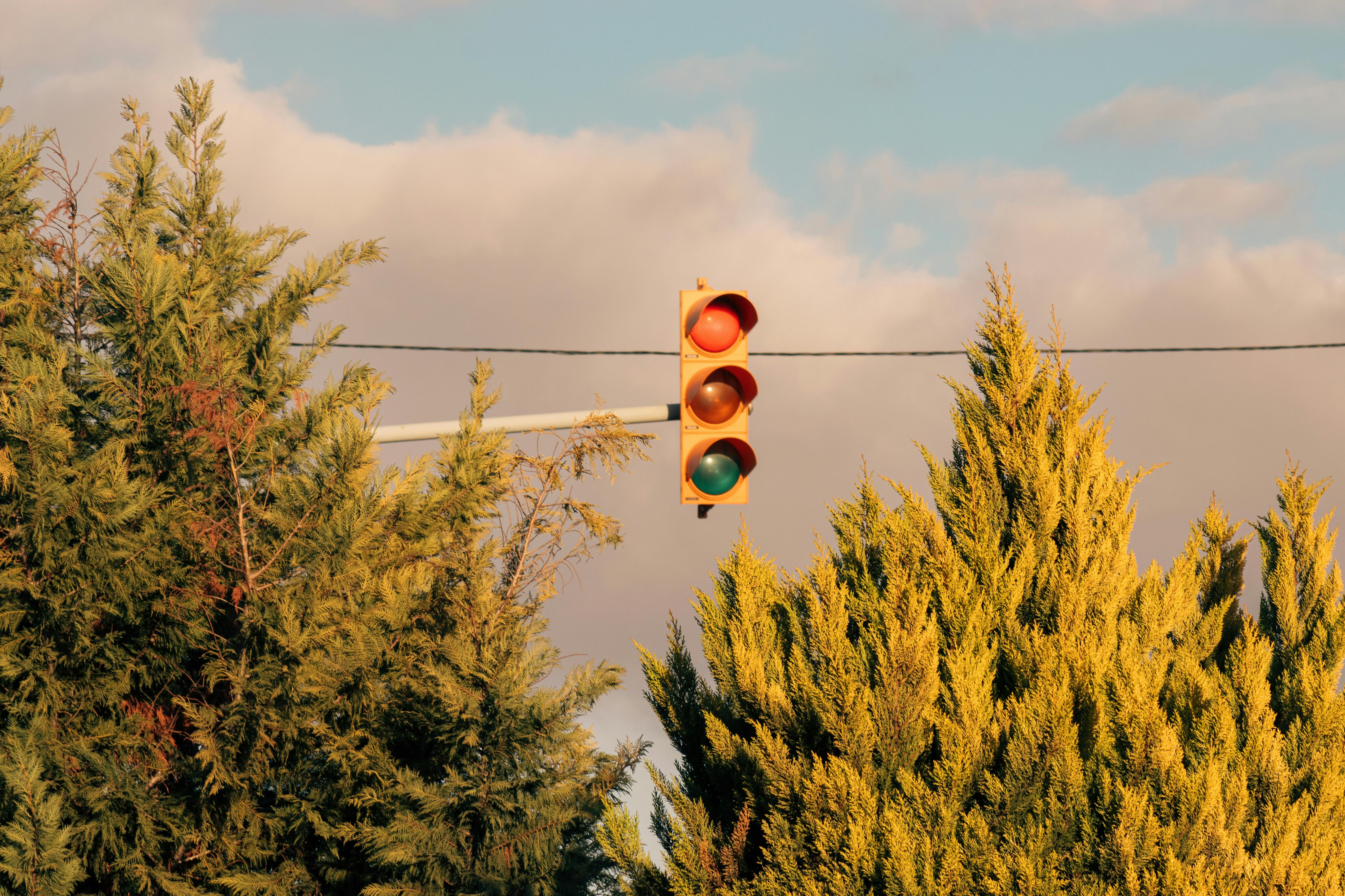 Russian Leader Vladimir Putin's directive initiates road infrastructure enhancements, as reported...