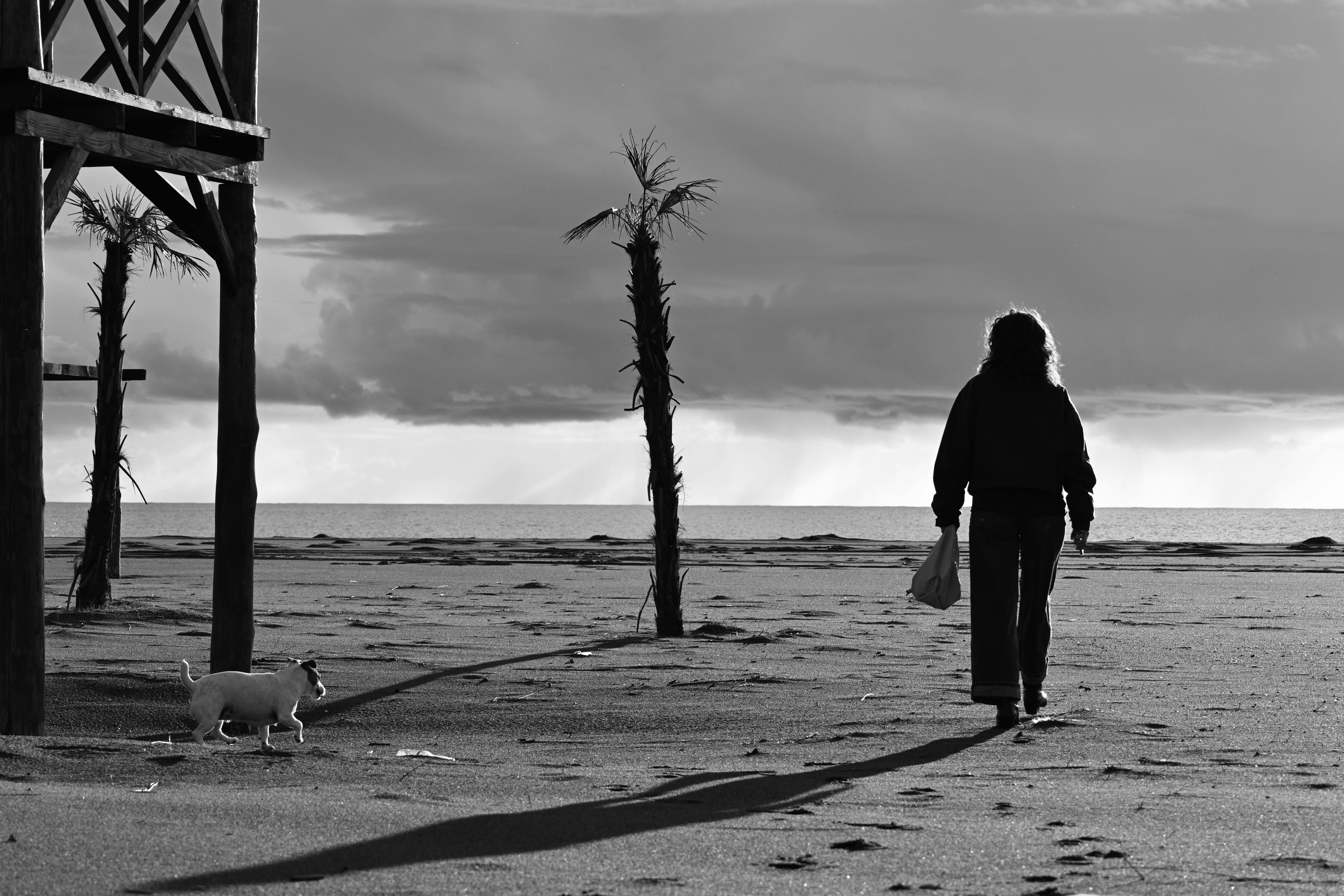 PDX Fund, managed by PIMCO, transitions to a multi-sector bond approach. Let's delve into its recent performance, difficulties, and prospects for expansion.