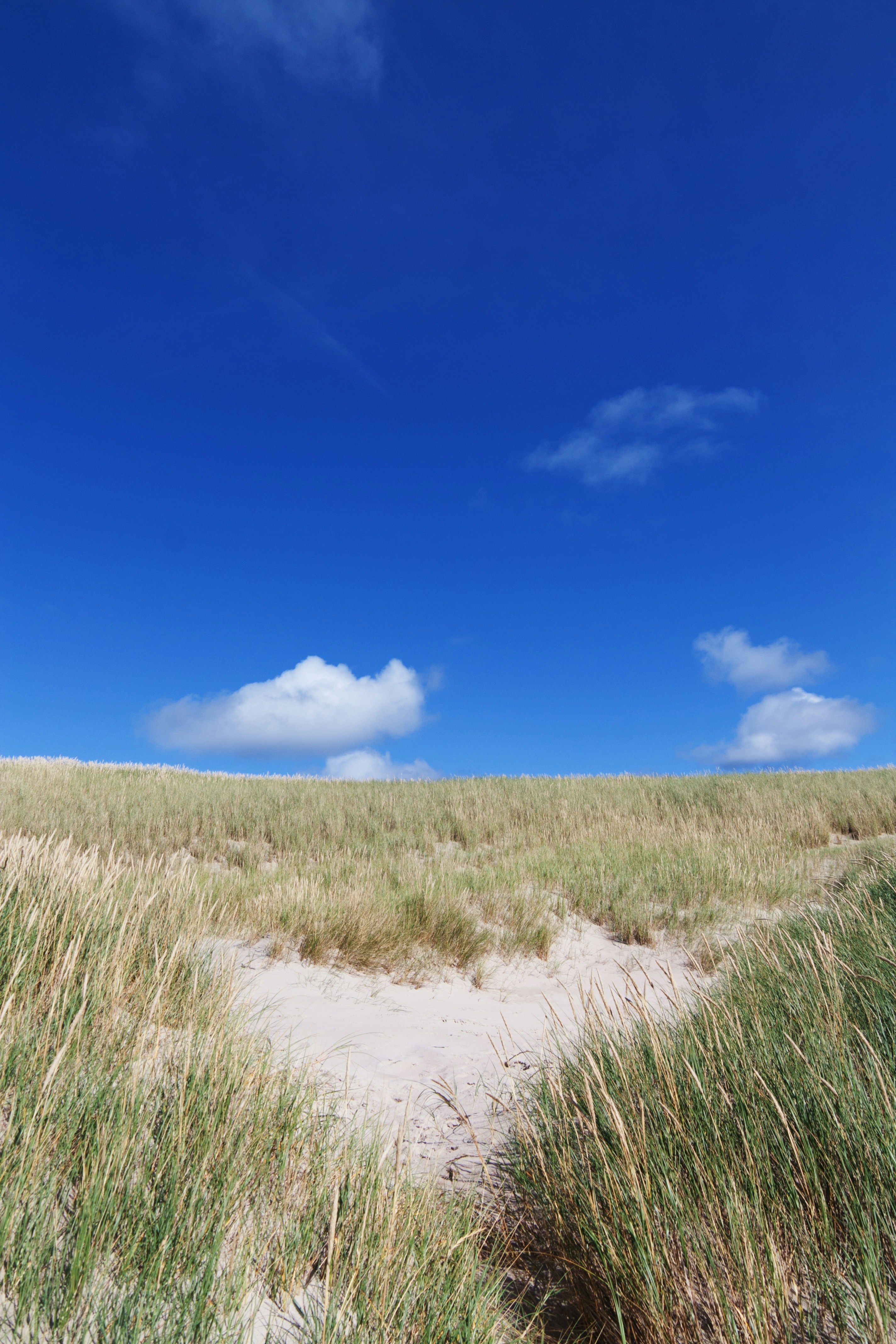 Experimentation with novel transport methods flourished during the 1970s as a feasible response to...