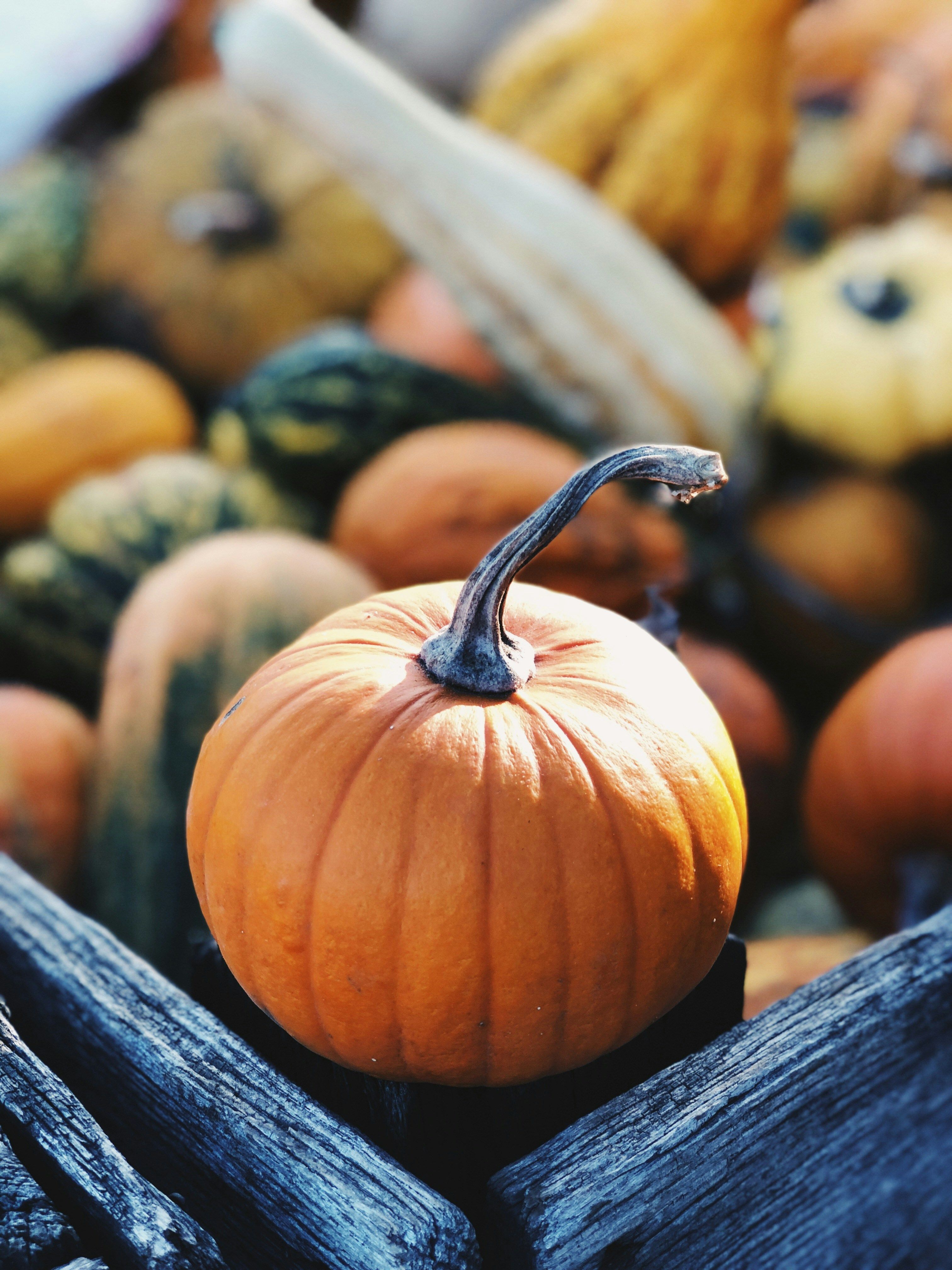 Germany’sLidl supermarket chain leads the food retail industry with a sales boost of 5.7%, as per...